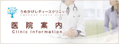 ߂fB[XNjbN@@ē
